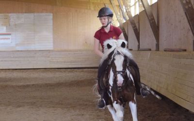 Reittherapie Feegold in Halle deutsches Reitpony Pony Reiter Training