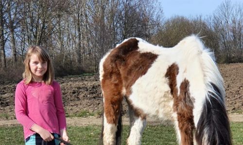 Reittherapie Feegold Kind deutsches Reitpony Pony Wegeleben