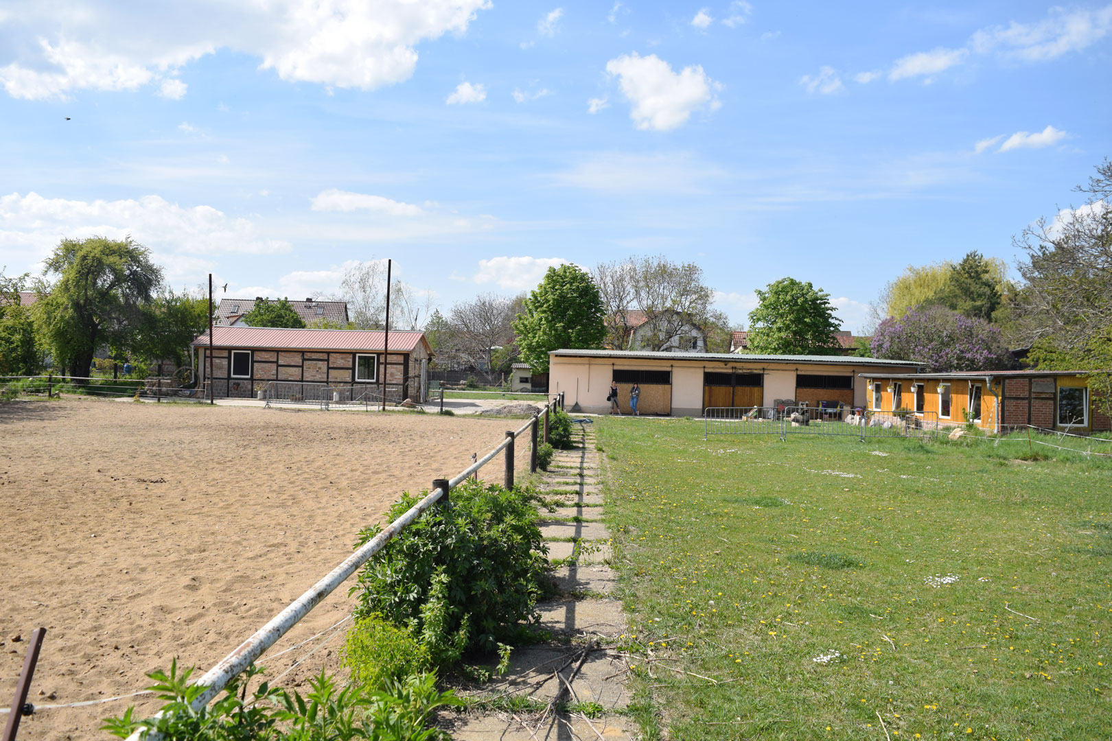 Reiterhof Feegold Stall Weide Gras Pferd Pony Wegeleben